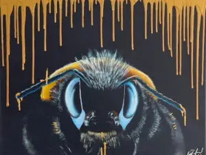 Honey Bee