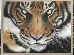 Tiger - Charcoal & Pastels