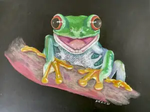 Happy Tree Frog