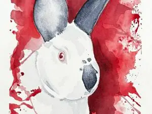 Limited Prints