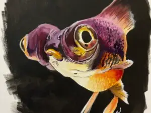 Black Dragon Goldfish