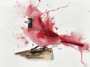 Cardinal