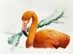 Flamingo