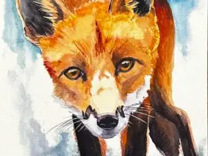 Fox by the River