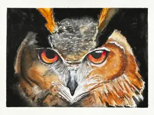 Owl