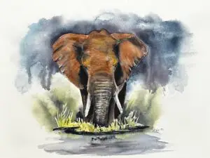 Elephant