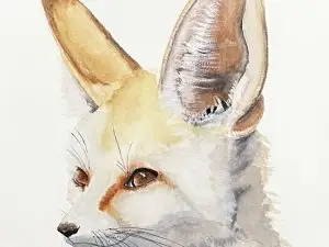 Fennec fox
