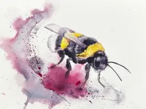 Journey of a Bumblebee