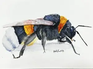 Bumble bee in gouache